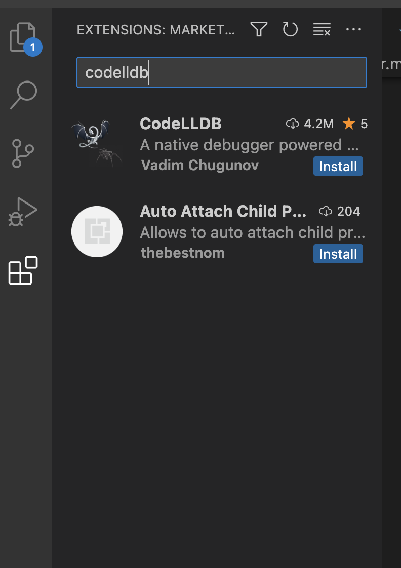 codellbd is typed into the extentions seach window